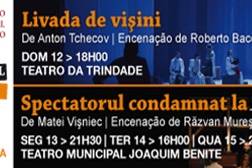 Teatro Nacional Cluj-Napoca (Roménia) convidado no Festival de Almada com 4 representações