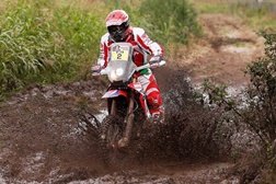 Paulo Gonçalves