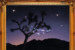 The Killers lançam álbum de Natal “Don’t Waste Your Wishes”