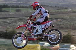 Luis Ferreira