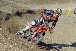 Rui Gonçalves