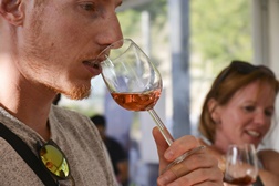Summer Wine Market de regresso ao Porto - 6ª edição no Mercado Ferreira Borges 