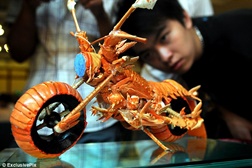 Motos em miniatura feitas de cascas de crustáceos