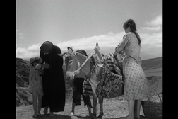 Magdana's Donkey