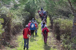 Cooperativa Secret Spaces in Alentejo promove o Turismo de Natureza no Litoral Alentejano online