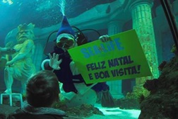 Pai Natal dos Oceanos mergulha no Sea Life Porto