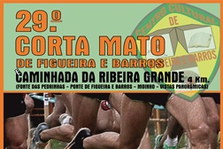29.º Corta Mato de Figueira e Barros e Caminhada da Ribeira Grande