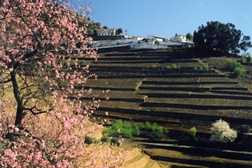 Douro é a região de Vinho do Ano no Mundo - “Douro Valley! distinguido como “International (Non-U.S.) Wine Region of the Year” 