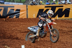 Rui Gonçalves