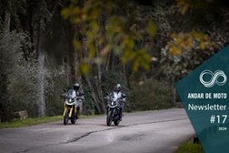 Newsletter nº 17/2024 - 24 de Abril de 2024