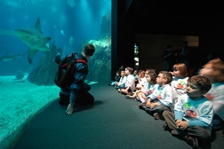 Oceanário de Lisboa recebe Prémio LIDE Arte e Cultura Mar 2014