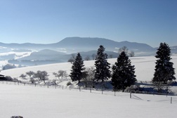 Neve: 8 distritos em alerta amarelo