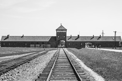 Exposição «Objetiva em Auschwitz» - Biblioteca Por Timor