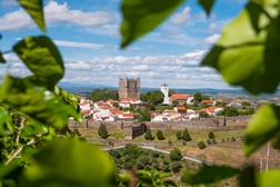 Bragança desafia as famílias portuguesas a (re)descobrir a liberdade