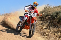Fausto Mota
