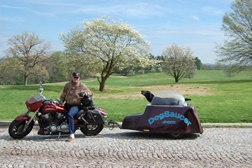 Sabia que pode levar o seu cão a passear de moto?