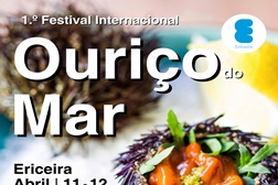 1º Festival Internacional do Ouriço-do-Mar na Ericeira