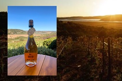 ARVAD lança o primeiro Espumante Negra Mole numa homenagem à elegância e autenticidade do Algarve