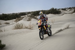 Ruben Faria - Dakar 2013