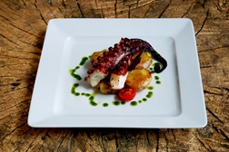 Nova carta no Vestigius