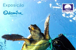 Exposição Marlisco na Biblioteca de Odemira entre 15 e 31 de maio