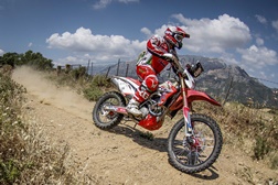 Paulo Gonçalves