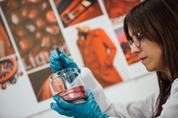 Todas as cores do arco-íris - A escolha da cor do nosso futuro automóvel