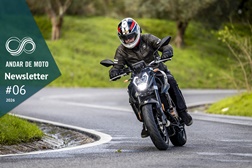 Newsletter nº 06/2026 - 11 de Fevereiro de 2026