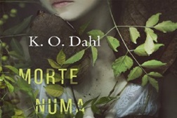 Morte numa Noite de Verão de K. O. Dahl