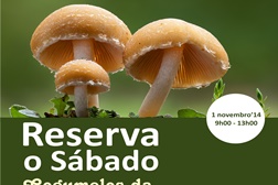 "Reserva o Sábado" - Cogumelos da Mata da Machada