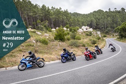 Newsletter nº 29/2024 - 24 de Julho de 2024