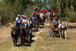 XXII edição da Romaria a Cavalo Moita - Viana do Alentejo - Entre 23 e 28 de Abril