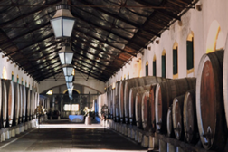 Sintra alia ópera e vinho em Gala Lírica - “Brindar à Ópera” em Colares