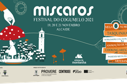 O “Míscaros - Festival do Cogumelo” do Fundão  está de volta às ruas do Alcaide