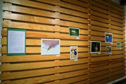  Exposição de fotografia "A Água e as Aves" na Biblioteca Municipal de Grândola