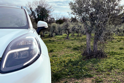 Algumas peças do seu futuro automóvel poderão provir de oliveiras - Iniciativa Ford com o projeto COMPOlive