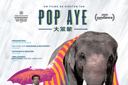 Pop Aye