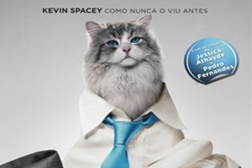 Aqui Há Gato
