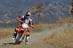 Ruben Faria