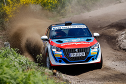 São 17 Peugeot 208 Rally4 perfilados para Vodafone Rally de Portugal WRC - A cumprir também o Peugeot Rally Cup Ibérica 2021