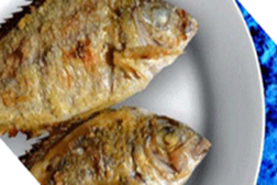 Setúbal: Festival ao sabor do alcorraz