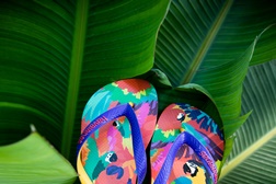 Havaianas apresenta novo modelo Top Fashion