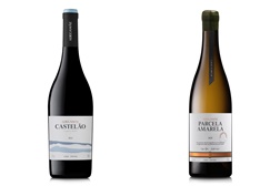 Cabrito ou folar? AdegaMãe sugere o vinho  certo para cada prato de Páscoa - Castelão 2021 e Parcela Amarela 2020  são as escolhas do enólogo Diogo Lopes  