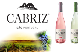 Garrafeira da Praça recebe degustação de Vinhos Quinta de Cabriz