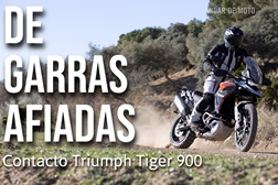 Contacto Triumph Tiger 900 - De garras afiadas