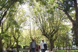 Barreiro: “Sente-se e ouça a diversidade do mundo!” no Parque Catarina Eufémia