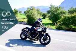 Newsletter nº 03/2025 - 21 de Janeiro de 2025