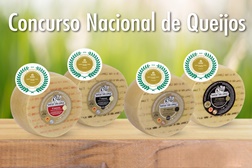 Queijos São Jorde DOP conquistam medalha de ouro no Concurso Nacional de Queijos Tradicionais Portugueses de Cura Prolongada
