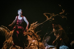 Terminal (O Estado do Mundo) traz a crise climática ao Teatro Nacional São João -  Música e Teatro pela companhia Formiga Atómica