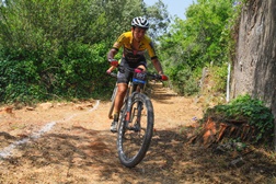 Agenda de Ciclismo (7 a 10 de julho de 2022)